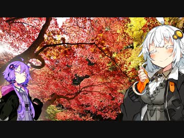 【車載劇場】まだ見ぬ世界に旅に出よう！ Record04（埼玉・東郷公園・秩父紅葉狩りの旅）