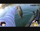 (ゆっくり実況)不定期釣り部part10【綺麗ダム湖編5】