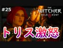 【実況】ダークファンタスティックウィッチャー Part25
