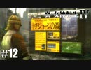 真・女神転生Ⅳ シリーズ制覇マラソン実況 Part12
