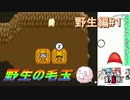 Part14【生配信プレイ】東方ライブアライブ チャットしながらプレイ
