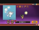 ルミナちゃん、兄弟居たんか【にゃんこ】