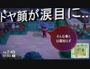 【あつまれ どうぶつの森】　第八十五幕　【悲報】新住民求めて久し振りに離島ガチャやったらハキハキばかり出てきて大爆死……