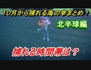 あつまれどうぶつの森　１０月から捕れる海の幸まとめ！北半球編！　【あつ森】