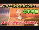 あつまれどうぶつの森　１０月から釣れる魚まとめ！釣れる場所と時間帯も紹介！北半球編！　【あつ森】