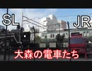 大森でSLとJRの電車たちを愛でる。。