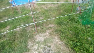 今日の出来事