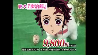 愛犬ロボ「炭治郎」