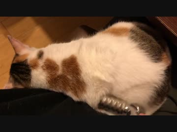 美顔ローラーの使い方