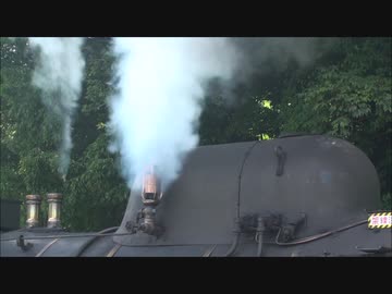 ＳＬ 蒸気機関車 の汽笛 SL蒸気機関車 音量注意！ 圧巻の汽笛集 Steam locomotive