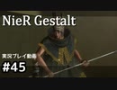 【NieR Gestalt】こんにちは狂気【part45】