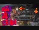 【Bloodborne】｜難病の私が高難易度ブラッドボーンchapterⅡ｜脳直注射｜【初見実況】part4