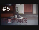 【実況】人生の主人公は"私"自身【Life Is Strange】#5