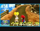 【スーパーマリオ 3Dコレクション】ギャラクシーをのんびりプレイ part14【SnowSky】