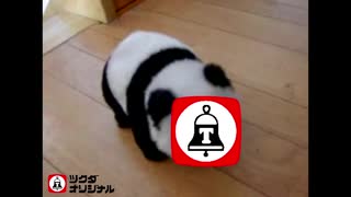 目が光るツクダオリジナルのおもちゃ