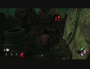 ハグ姐さんとDBD