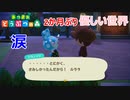 【あつ森】秋の夜更けに、2か月ぶりのあつまれどうぶつの森。この優しい世界で僕は生きたい。【Animal Crossing】