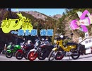 カブ旅 ~奥多摩 後編【紅秋葉】