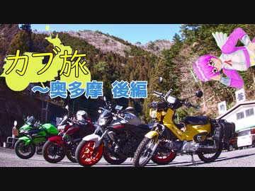 カブ旅 ~奥多摩 後編【紅秋葉】