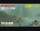 【寄り道ばかりの】ゼルダの伝説BotW【実況プレイ記録122】巨大迷路の謎②