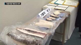 韓国バラムツ(기름치)流通業者　警察に摘発される