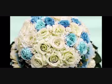 杉山紀彰さん  喘ぎ声･イキ声