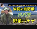 沖縄の島野菜の話　ボギー大佐の言いたい放題　2020年09月27日　21時頃　放送分