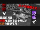 国民的英雄に忍び寄る狂気 スーパーマリオ64 part8 【ゲーム実況】