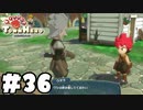 呑んでばっかだな～このジジイ【リトルタウンヒーロー】実況プレイpart36