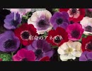 【AIきりたんオリジナル曲】宿命のアネモネ