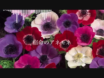 【AIきりたんオリジナル曲】宿命のアネモネ