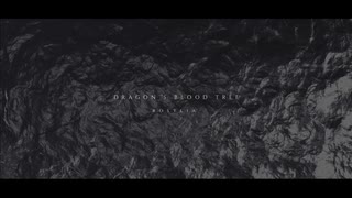 【BOFXVI】Dragon's Blood Tree