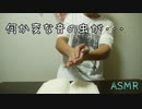 【ASMR】何か、変な音の虫が・・・。【No talking】