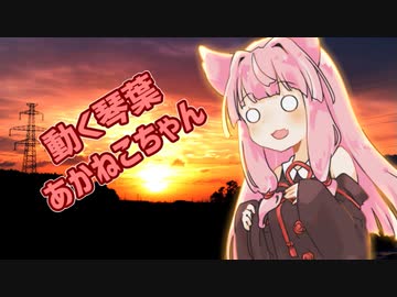 琴葉あかねこちゃん