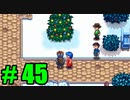 【飲酒実況】 Stardew Valley part45 【modあり】