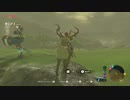 【実況】だらだら喋りながらやるゼルダの伝説 BREATH OF THE WILD Part.017【初見】