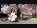 【*桜のころ*】花降らし 踊ってみた【莉夢】