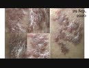 202009300100■Memo:_φ(･_･;) ... '' Illustrated&tele-graphed Impression'',ETC.
