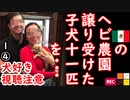発展途上国ってやつは...　【江戸川 media lab HUB】お笑い･面白い･楽しい･真面目な海外時事知的エンタメ