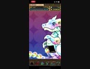 iPhone11Pro パズドラ 超絶スーパーゴッドフェス ガチャ