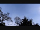 虫と鳥の鳴き声20200929-1【作業用BGM】