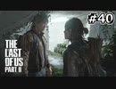 サバイバル！えりーたんと逝く復讐の旅 #40
