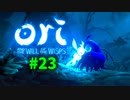 【＃23】Ori and the Will of the Wisps 【じっくりと実況】