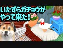 Untitled Goose Game ♯3 | ガ チ ョ ウ は 悪 く な い