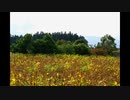 Nikon　ニコニコ版 再アップ