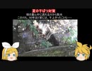 元産直店員の脱サラ農業　第三十三回