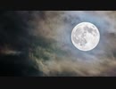 月の兎と奇妙な変奏曲／Auzenismo