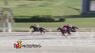 第1回ベイスプリント ウラガーノ