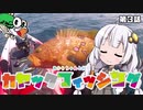【VOICEROIDフィッシング】あかりちゃんと行くカヤックフィッシング第3話