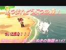 【あつ森】前人未島へようこそ！#147【あつまれどうぶつの森】